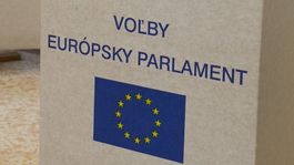 Eurovoľby: Boj o voliča je vlažný