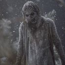 the walking dead, walking dead, fear the...