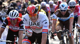 Belgicko cyklistika Gent-Wevelgem Kristoff