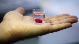 Vedcom sa podaril prelomový objav, vytlačili 3D srdce z tkaniva a ciev