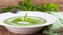 Žihľava - mladé rastlinky môžeme zbierať po celý rok