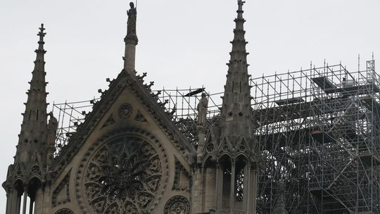 Pre deti a tehotné ženy z okolia Notre-Dame odporučili krvné testy