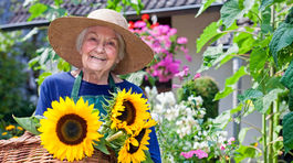Ktorý vitamín najviac chýba seniorom?