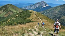 Turisti mimo chodníkov, pozor na medvede, varujú ochranári