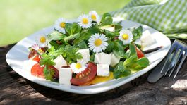 Sedmokráska - poteší oči v zeleninovom šaláte