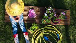 Ako si na jar obnoviť trávnik