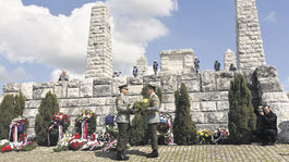 Štefánik oslavovaný, zatracovaný a zamlčovaný 