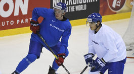 Flegmatik, ktorý neznáša vešať bielizeň. Pri frajerke sa musel snažiť