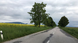 Firma spájaná s Glváčom podľa kontroly tunelovala Bratislavský samosprávny kraj