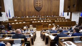 Novým členom Rady Slovenského pozemkového fondu sa stane Ilavský