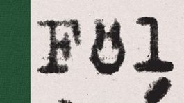 Kornel Földvári: Výstrel v zrkadle