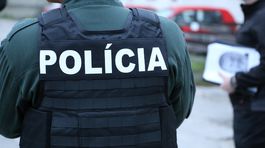 Na slovensko-ukrajinskej hranici zadržali viacero nelegálnych migrantov