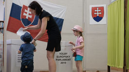 eurovoľby 2019, Šamorín
