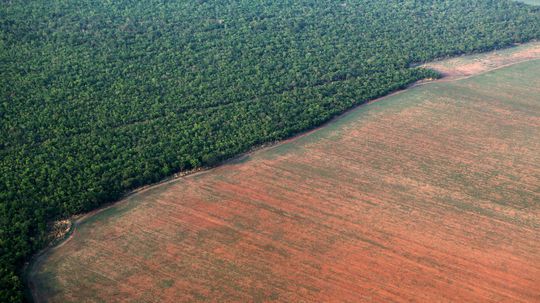 Tempo odlesňovania brazílskeho pralesa enormne stúpa