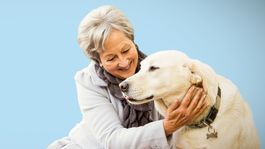 Záhadné ochorenie zabíja psy