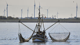 Japonsko sa po desaťročiach vrátilo ku komerčnému lovu veľrýb