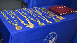 Rektori na doživotie