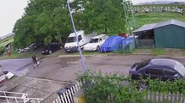 Baran zaútočil na muža. Pozrite si autentické video z Dubnice