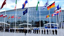 Tribalizmus a NATO