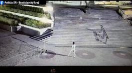 Naháč sa prechádzal v Bratislave pred parlamentom. Polícii to vtipné neprišlo