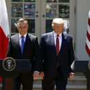 Trump / Duda /