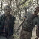 fear the walking dead, walking dead, zombie,...