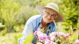 Rezort financií nesúhlasí s tým, aby mali matky miernejšie podmienky pre minimálnu penziu