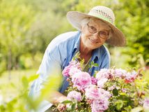 senior, dôchodca, kvety
