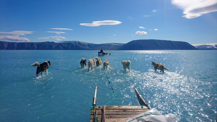 grónsko, klíma, oteplenie, topenie ľadovcov