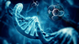 Prečítať DNA a ušiť liečbu na mieru