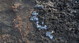 Vedci objavili na Madeire novú formu znečistenia oceánu plastmi 