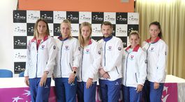 Fed Cup sa zmení po vzore Davis Cupu. Moška: Výborná správa