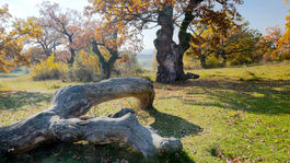 Gavurky: Okno do stredovekej krajiny