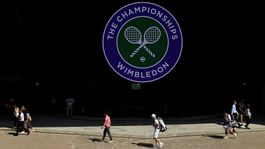 ANKETA: Hľadajú sa kráľ a kráľovná Wimbledonu 