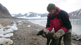Polárna líška prešla tisíce kilometrov z Nórska až do Kanady