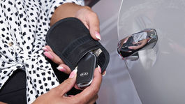 Kia bojuje proti zlodejom. Zatiaľ dosť 'primitívne'