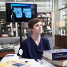 the good doctor, dobrý doktor, freddie highmore,