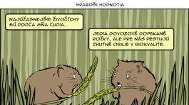 Gašparec, 13.07.2019