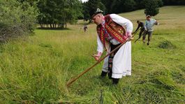 Unikátnu lúku s vlniacou sa pôdou kosia ručne