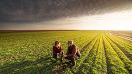 Plánujete prenajímať poľnohospodársky pozemok?