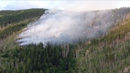 Sólymos: Požiar pri Táľoch spôsobil prírode škodu asi 800-tisíc eur