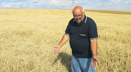 Sýpky sú prázdne, úrodu zožrali myši