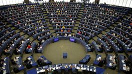 Klus: Kotlebovci nebudú v europarlamente robiť nič alebo budú robiť hanbu