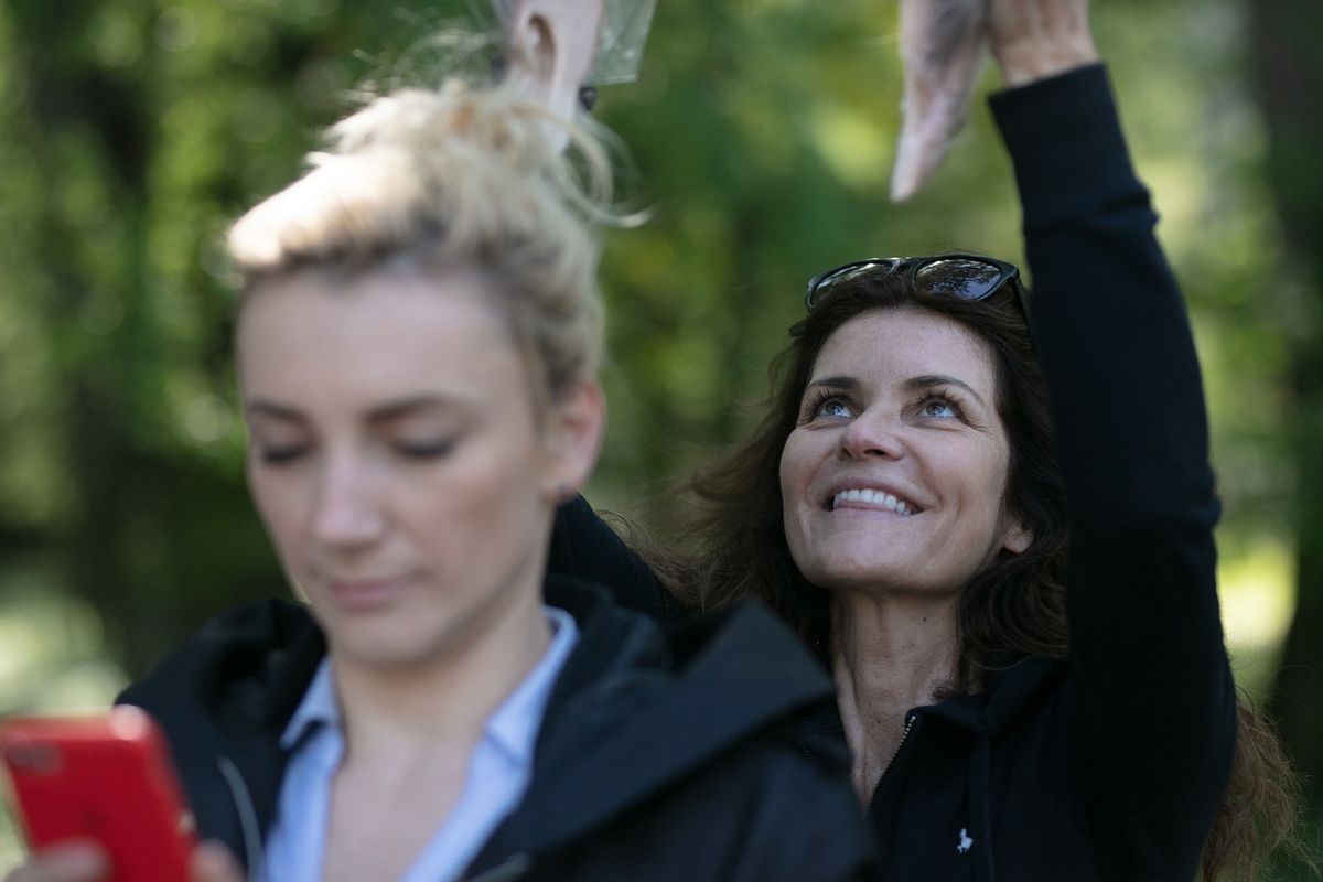 Denisa Biermannová (v pozadí) spolupracuje s...