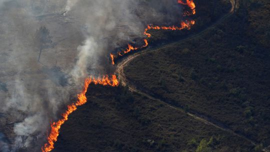 V strednom Portugalsku bojuje s lesným požiarom cez 1 800 hasičov