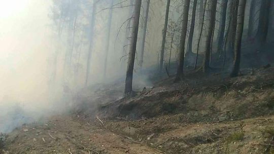 Pri požiari lesa v Nižnej na Orave zasahuje 30 hasičov