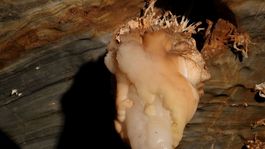 Ochtinská aragonitová jaskyňa