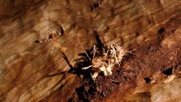 Ochtinská aragonitová jaskyňa