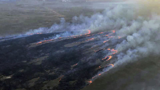 Lesný požiar v Katalánsku zničil 1100 hektárov lesnej a poľnohospodárskej pôdy