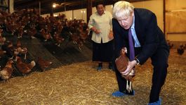 Libra slabne. Chaos okolo brexitu rastie